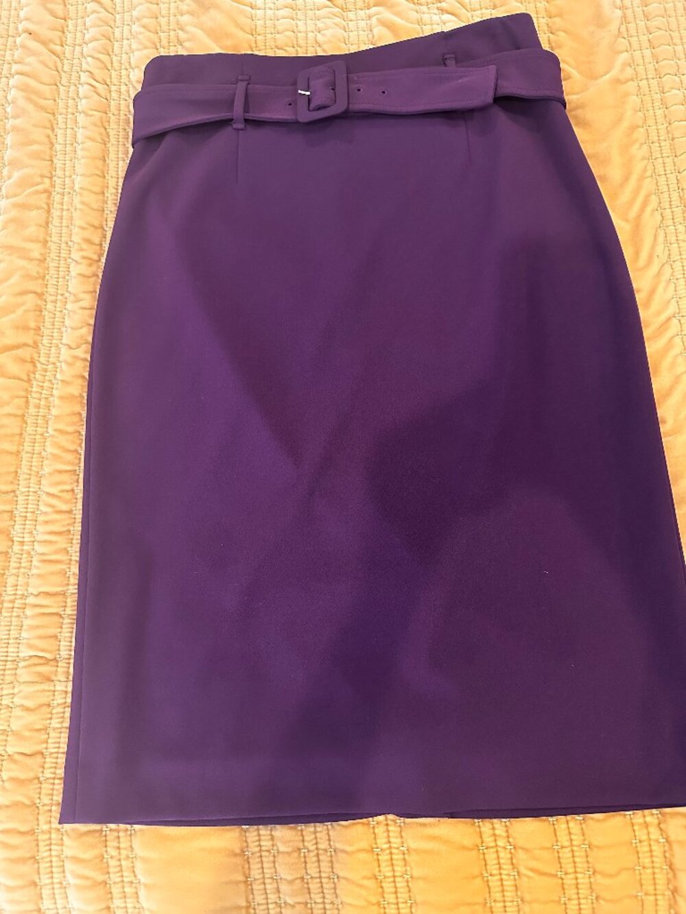 Calvin Klein Belted Pencil Skirt LIKE NEW size 12
